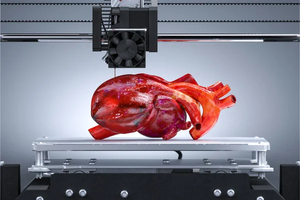 3D printer Realistisk Hjerte. Futuristiske teknologier. Tredimensjonal transplantasjon. 3d smelting – stockfoto