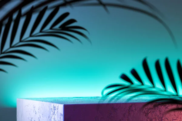 Concreto Foursquare Showcase em fundo aquamarino e perto de folhas tropicais. Renderização 3d . — Fotografia de Stock