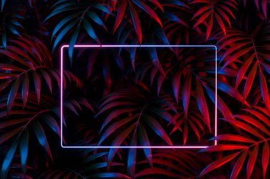 Tropikal Yapraklar Arkaplanındaki Yatay Neon Çerçevesi. 3 boyutlu görüntüleme. Boşluk. Boşluğu kopyala