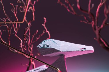 Soyut Geometrik Figürler Olarak Modern Vitrin Taştan ve Neon Pembesi ve Violet Arkaplanındaki Dallardan Yapıldı. 3d oluşturma