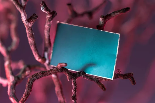 Blank Turquoise Color Business Card on Coral. Empty Space. Copy Space. 3d Rendering — Stock Photo, Image