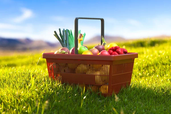 Basket Full Of Fresh Fruits And Vegetables on Green Meadow Lit With Sunlight. 3d Rendering. — Stock Photo, Image