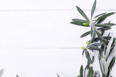 Beyaz ahşap arka planda böğürtlenli taze zeytin dalı. İtalya 'nın geleneksel bitkisi. Metin için boş alan. Düz yatıyordu.