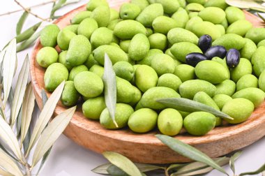 Dalları ve yaprakları olan taze yeşil zeytinler. İtalya 'da mevsimlik hasat. Üst görünüm.