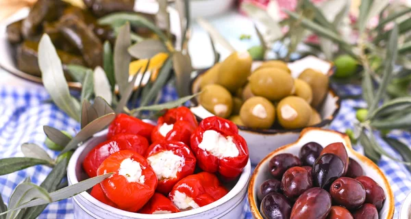 Traditionelle Vorspeisen, grüne und rote Oliven aus der griechischen Küche. Frische Olivenzweige. Kopierraum. Blau karierte Tischdecke. — Stockfoto