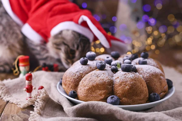 Kutlama pastası ve Noel Baba kıyafetli güzel kedi. Noel kartı için Bokeh 'le arka plan. Boşluğu kopyala. — Stok fotoğraf