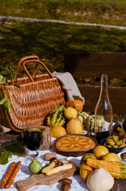 Sonbahar doğasında öğle yemeği için hazırlanmış bir masa, piknik. Hasat, sonbahar yemeği, şarap ve bardaklar. Açık hava toplantısı.