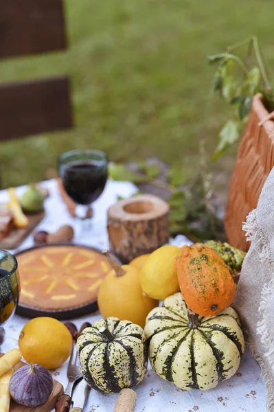 Stůl připraven k obědu v podzimní přírodě, piknik. Sklizeň, podzimní oběd, víno a skleničky. Venkovní setkání. — Stock fotografie