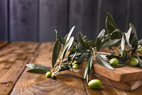 Masalı zeytin. Zeytin ağaçlı ahşap masa. Metin için boş alan.