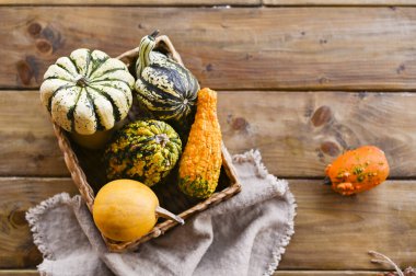 Ahşap bir masada farklı bir Şükran Günü Mini Balkabağı. Şükran Günü konsepti Autumn, Hasat Hasadı sepeti. Peçete eski. Yukarıdan görüntüle.