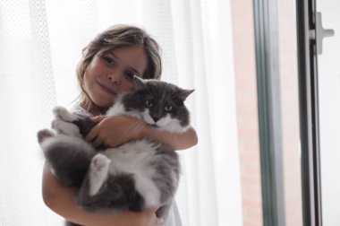 Küçük kız odada bir kediyle oynuyor. İnsanların ve hayvanların arkadaşlığı. İlişkiler ve evcil hayvan sevgisi. yumuşak odak