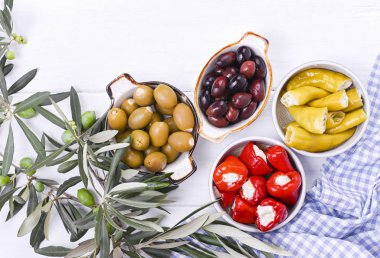 Geleneksel mezeler, Yunan mutfağından yeşil ve kırmızı zeytinler. Taze zeytin dalları. Uzayı kopyala Mavi kareli masa örtüsü.