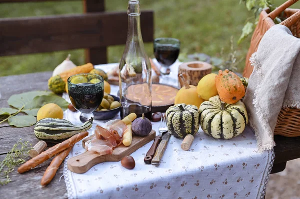 Tavolo preparato per il pranzo nella natura autunnale, picnic. Vendemmia, pranzo autunnale, Vino e bicchieri. Incontro all'aperto. — Foto Stock