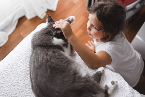 A menina abraça um gato em uma cama em um quarto. A amizade de pessoas e animais. Relacionamentos e amor por animais de estimação. Os detalhes estão fora de foco e foco suave. — Fotografia de Stock