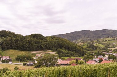 Yeşil tepeler ve Slovenya 'da eski bir köy. Avrupa 'da seyahat ve turizm. Doğa, gökyüzü ve üzüm bağları.