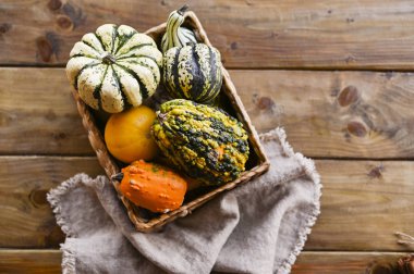 Ahşap bir masada farklı bir Şükran Günü Mini Balkabağı. Şükran Günü konsepti Sonbahar, hasat hasat sepeti.