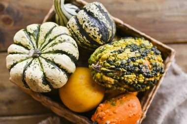 Ahşap bir masada farklı bir Şükran Günü Mini Balkabağı. Şükran Günü konsepti Sonbahar, hasat hasat sepeti.