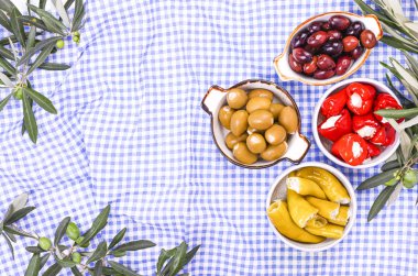 Geleneksel mezeler, Yunan mutfağından yeşil ve kırmızı zeytinler. Taze zeytin dalları. Uzayı kopyala Yukarıdan. Mavi kareli masa örtüsü.
