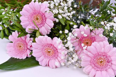 Beyaz arka planda pembe gerberalar. Kadınlar Günü ve Anneler Günü kutlaması. Metin için boş alan. 