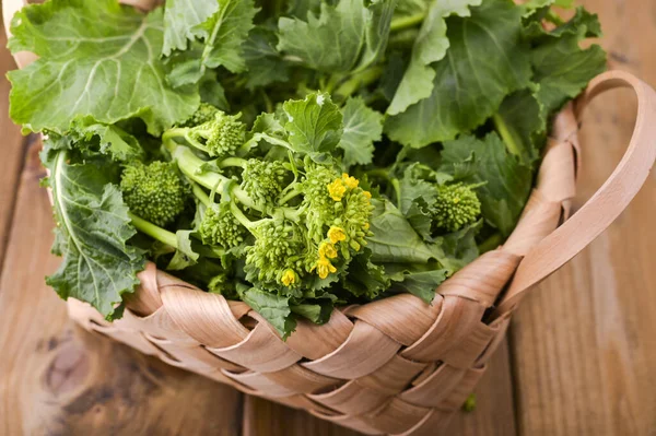 Raw Organic Turnip Greens Ready to Eat on a brown wooden background . basket with fresh green vegetables . Italian food