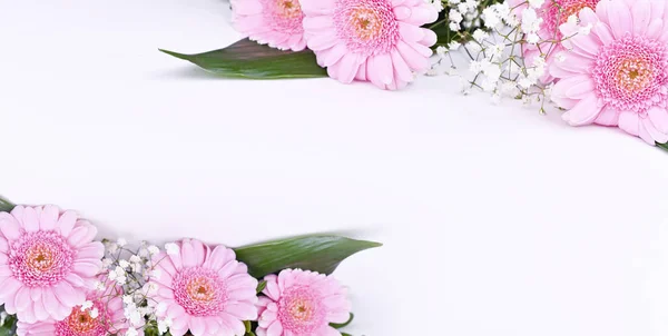 Μπουκέτο με ροζ ζέρμπερες σε λευκό φόντο. Εορτασμός της Ημέρας της Γυναίκας και της Μητέρας. Ελεύθερος χώρος για κείμενο. — Φωτογραφία Αρχείου