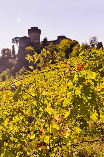 Uma vinha ao pôr-do-sol em uma colina, um castelo é visível no horizonte. Viajar pela Itália. Foto vertical. Espaço de cópia — Fotografia de Stock