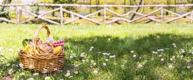 Parkta, yeşil çimlerin üzerinde öğle yemeği. Yaz güneşli bir gün ve piknik sepeti. Sandviç, dışarıda yenen sokak yemekleri için hamburger. Uzayı kopyala Pankart