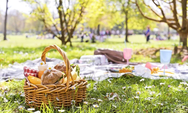 Lunch in the park on the green grass. Summer sunny day and picnic basket. Sandwiches, burgers for street food outdoors. Copy space. Banner. soft focus. Close-up