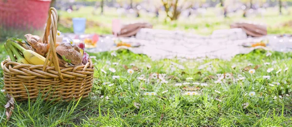 Lunch Park Green Grass Summer Sunny Day Picnic Basket Sandwiches — Stock Photo, Image