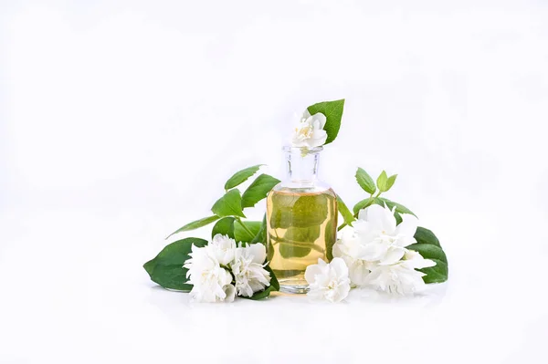 Essential Oil Jasmine Flower White Background Aromatherapy Alternative Medicine Jasmine — Stock Photo, Image