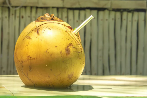 Coco Amarillo Fresco Entero Día Soleado Isla Sobre Fondo Auténtico —  Fotos de Stock