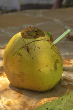 Tam sarı hindistan cevizi, güneşli bir günde, gerçek arka planda.