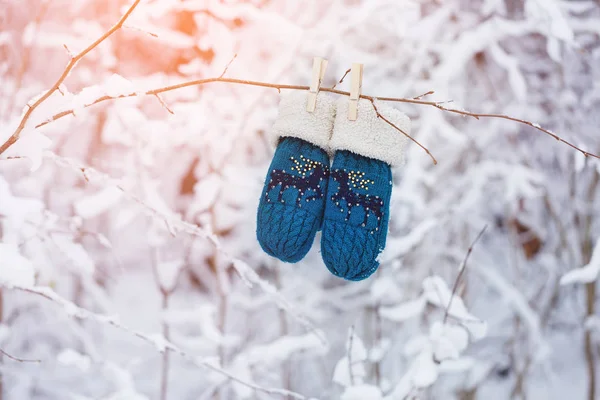 Guanti e guanti per bambini appesi a un ramo nella foresta invernale — Foto Stock