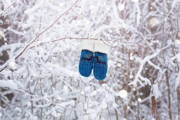 Дитячі рукавички та рукавички, що висять на гілці в зимовому лісі — стокове фото