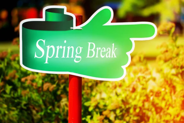 Grünes Schild mit dem Text Spring Break drin, sonniger Frühlingstag — Stockfoto