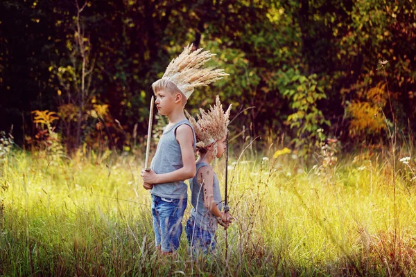 Portrait Two Brothers have a crown from dry grass on the head and swords in hands. Joy and play concept — Stock Photo, Image