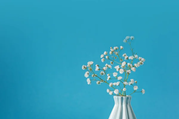 Primer plano Aliento del bebé - gypsophilia paniculata - en jarrón sobre fondo azul — Foto de Stock