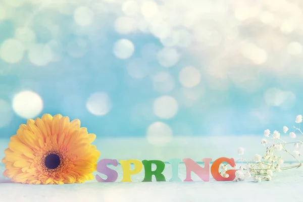 Frühlingspapier Wort mit gelben Blume auf blauem Hintergrund. Hallo Frühling. FrühlingTapete — Stockfoto