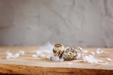 Closeup bıldırcın yumurtası ve ahşap arka plan tüyler