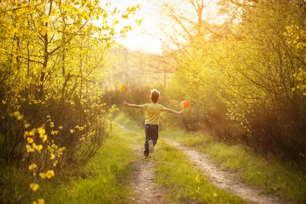 Yaz güneşli günde fırıldak el ve runing tutan küçük bir çocuk. Arkadan Görünüm — Stok fotoğraf