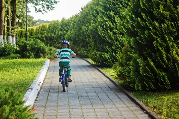 Kid boy on a bicycle at asphalt road in the park. Back view. — Stock Photo, Image