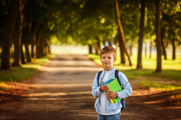 Little boy going back to school. Child with backpack and books. — Stock Photo, Image