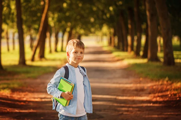 Mały chłopiec wraca do szkoły. Dziecko z plecaka i książek. — Zdjęcie stockowe
