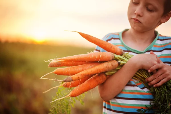 Маленький мальчик с морковкой в руках. Крупный план — стоковое фото
