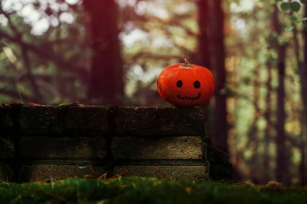 Abóbora de Halloween no fundo da natureza. Conceito de Halloween feriado — Fotografia de Stock