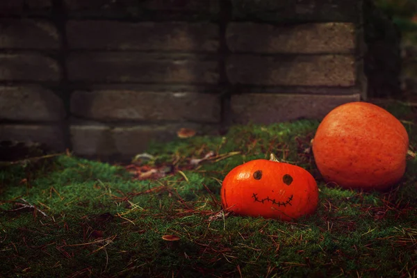 Abóbora de Halloween no fundo da natureza. Conceito de Halloween feriado — Fotografia de Stock