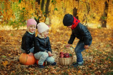 Üç arkadaş çocuklar sonbaharda yaprakları kabak ve elma ile