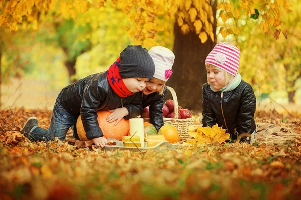 Трое друзей дети лежат на осенних листьях с тыквами и яблоками — стоковое фото