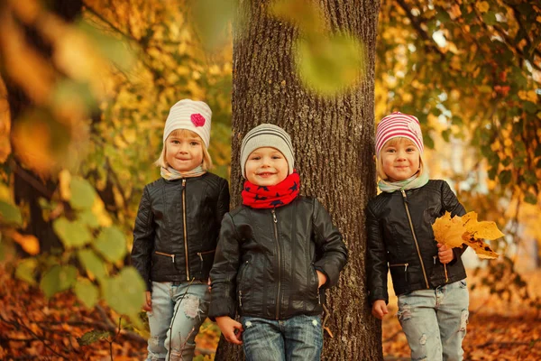 Retrato Tres amigos felices niños en el parque de otoño - niño, limosna y amistad . —  Fotos de Stock