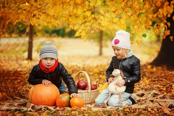 Dzieci gry w w jesienny park z dyni i jabłka. — Zdjęcie stockowe